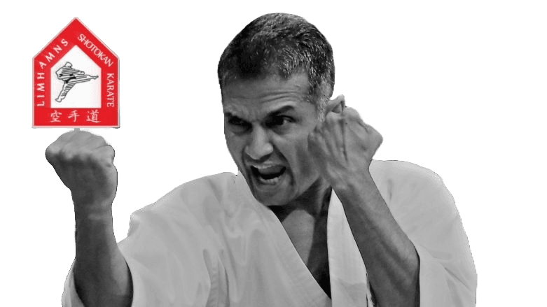 Sensei in shotokan karate stance inside a traditional dojo