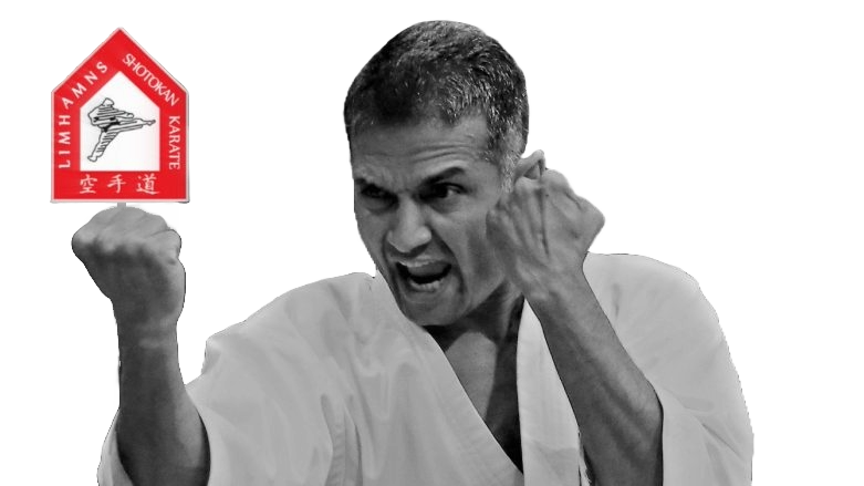 Sensei in shotokan karate stance inside a traditional dojo